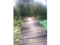 Quelques photos