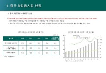 중국 화장품시장 분석