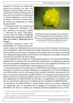 καταναλωτές «κόψτε το λαιμό σας» όταν σπάει στο σπίτι σας λαμπτήρας... 
