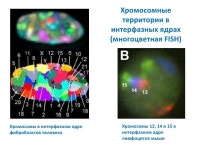 Генетическая инженерия сегодня slideshare