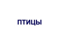 Книга рекордов Крыма slideshare