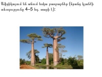 աֆրիկա slideshare