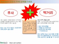 스템텍사업설명 | PPTX 스템텍사업설명