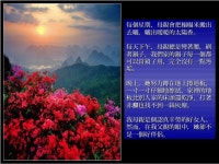 感人的婚姻心情故事 slideshare