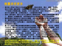 跑步之心 | PPTX 跑步之心