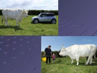 рекорди врх | PPT рекорди врх