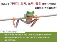 세일즈 전략과 프로세스 개발 전문 기업 SP&S Consulting slideshare