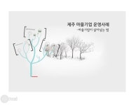 제주 마을기업 운영사례