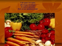 презентація золота осінь slideshare