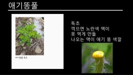 봄나물 체험학습 slideshare
