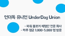 블로그 체험단 마케팅 제안서 : 언더독체험단 slideshare