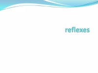newbornReflexes | PPTX newbornReflexes
