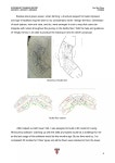 Report | PDF Report