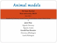 S1 animal model | PPT S1 animal model