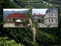 Scintillating shimla!
