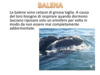Sud Africa slideshare