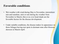 idm of coffee | PPTX  idm of coffee