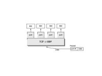 Tcp sockets | PPT Tcp sockets