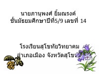 Test5914 | PPT Test5914