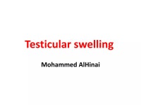 Testicular swelling | PPTX Testicular swelling