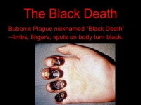 The Black Death slideshare