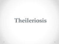 Theileriosis