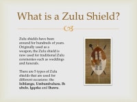 The zulu shield (1)
