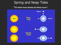 Tides | PPT | Geography | Science Tides