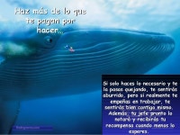 Trabajo slideshare