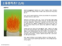 코디세븐 동충하초 상품 소개서 slideshare