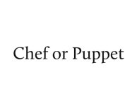 Vagrant puppet
