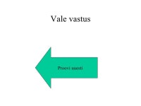 Viktoriin Mardip slideshare
