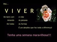 Viver | PPS Viver