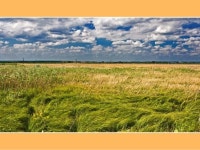 Фотоальбом о природе Донского края slideshare