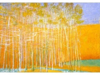 Wolf kahn slideshare