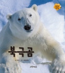 북채널 - 북극곰