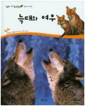 북채널 - 늑대와 여우 (연두자연관찰)
