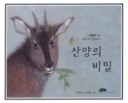 북채널 - 식물/자연