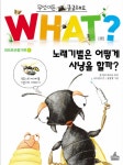북채널 - 노래기벌은 어떻게 사냥을 할까