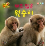 북채널 - 유아과학