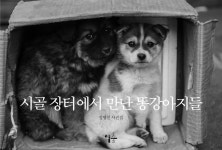 북채널 - 국내사진집