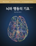 북채널 - 행동심리학