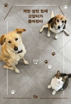 북채널 - 포토에세이