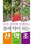 북채널 - 한방약초
