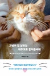 북채널 - 사진/그림에세이