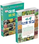 북채널 - 한방약초