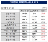 비엔케이캐피탈(자금대출) - 기업정보 | 투자, 매출, 펀드 - THE VC