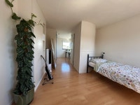 암스테르담 숙이네 민박 - 민다