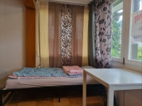 인터라켄 플로라민박 - 민다