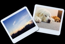 오사카 멍멍하우스의 숙소 - 민다